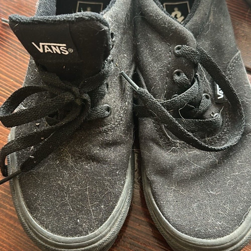 Vans Classic Black Canvas Shoes